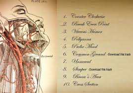 anatomize