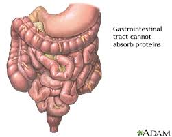 gastro-intestinal