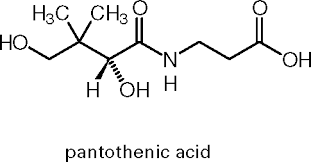 pantothenic