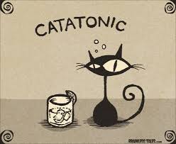 catatonic