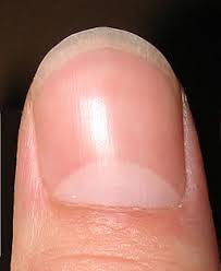 finger-nail