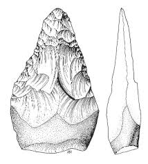 lithic