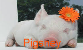 pigsney
