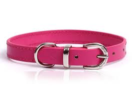 pink-collar